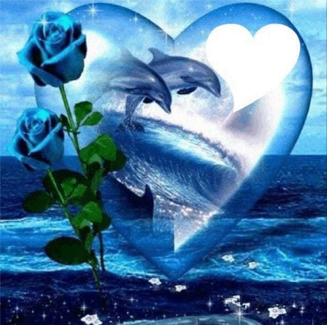 Coeur Et Dauphins Meme