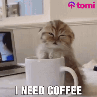 Coffee Need Coffee GIF