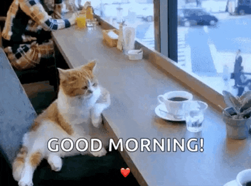 Coffee Shop GIF