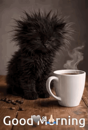 Coffee Time Good Morning GIF