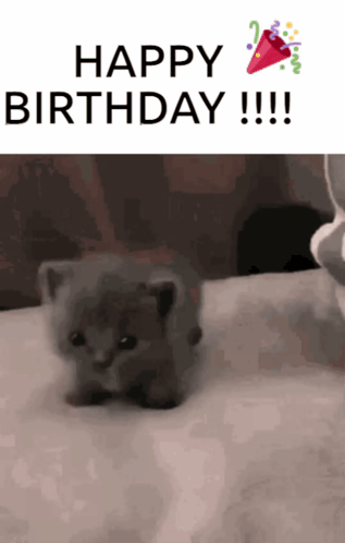 Coffee GIF