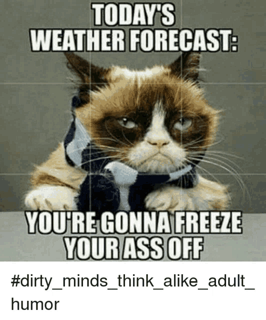 Cold Politician Meme