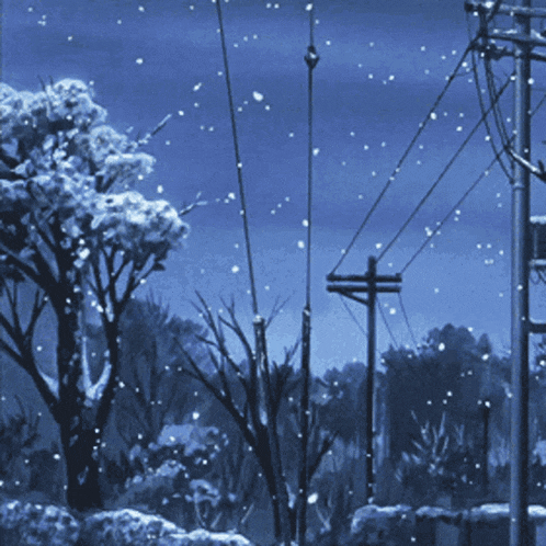 Cold Snow GIF