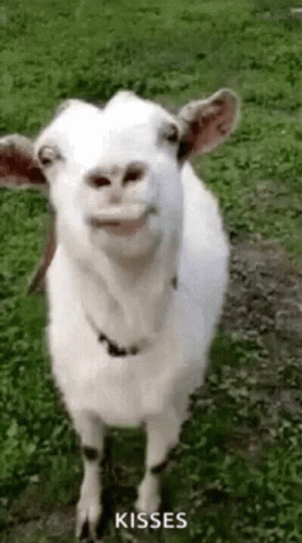 Coldoutside Loveyou GIF