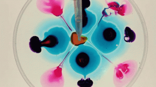 Colors In Water Ink GIF. This 498 x 280 animated GIF is part of our thanks for watching in water collection. Created by portugaltheman. View the original…