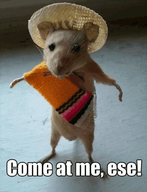 Come At Me Meme