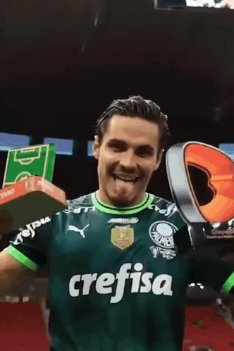 Comemorando Palmeiras GIF