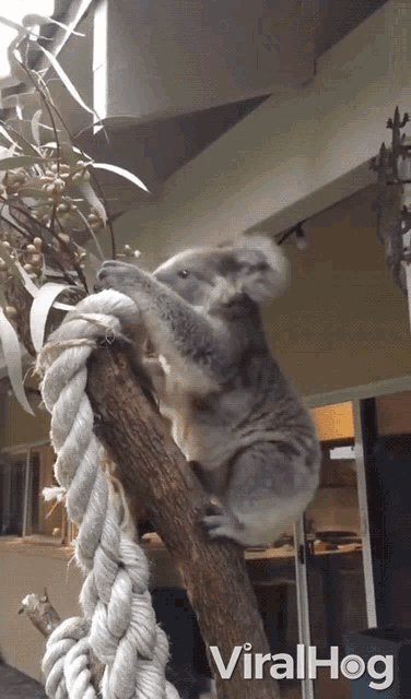 Coming Get Down GIF