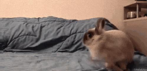 Coming Home From Work Like GIF
