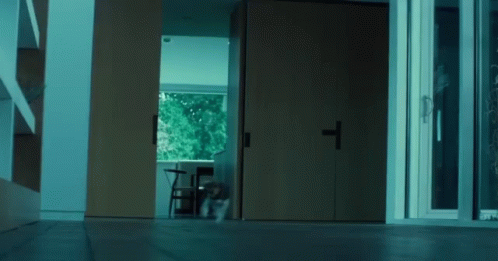 Coming On My Way GIF. This 498 x 261 animated GIF is part of our john wick dog collection. Related themes include john wick, on my way, puppy. Created by…