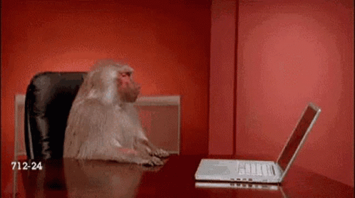 Computer Says GIF