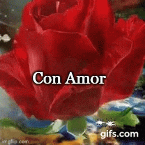 Con Amor Para Ti GIF. This 498 x 498 animated GIF is part of our frases de amor collection. Created by AlmaRosaMiranda. View the original animation, share…