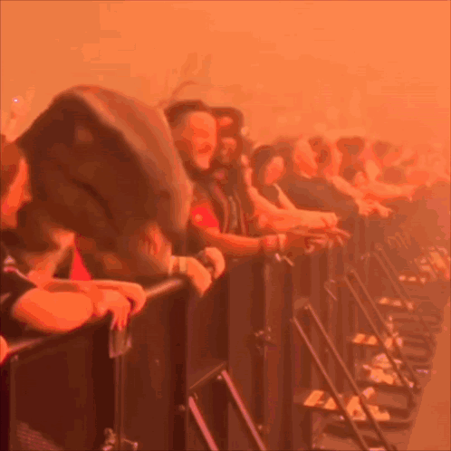 Concert Crowd GIF