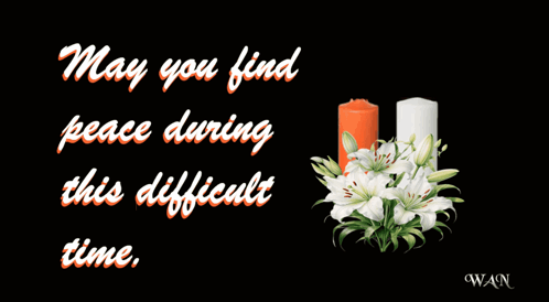 Condolences Sympathy GIF