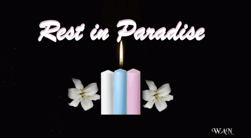 Condolences Sympathy GIF