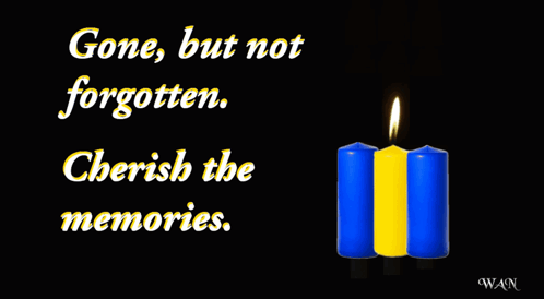 Condolences Sympathy GIF