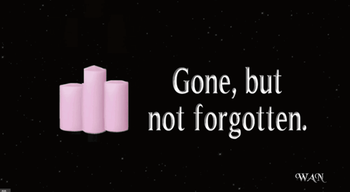 Condolences Sympathy GIF