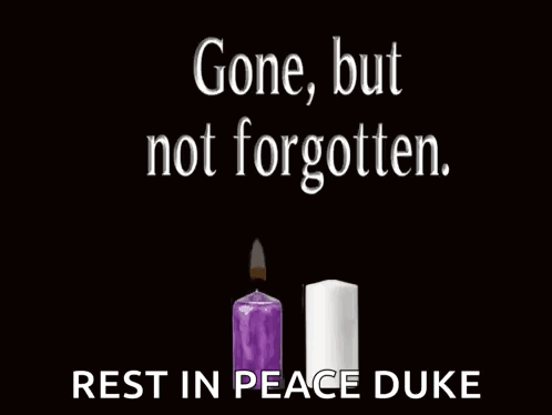 Condolences Sympathy GIF