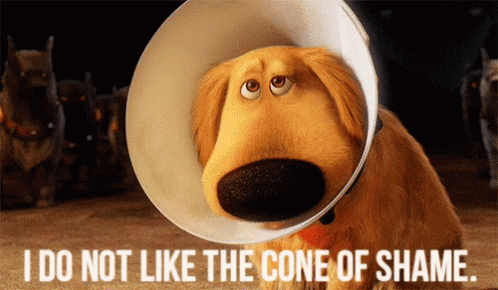 Cone Of Shame Up GIF. This 498 x 290 animated GIF is part of our cone of silence collection. Created by Isfry. View the original animation, share it, or…