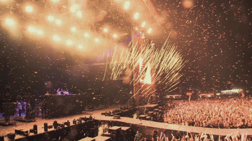 Confetti Cannons Celebration GIF