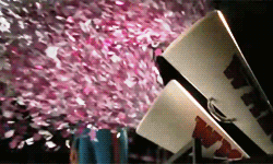 Confetti Canon GIF