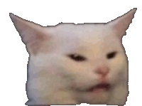 Confused Cat Sticker