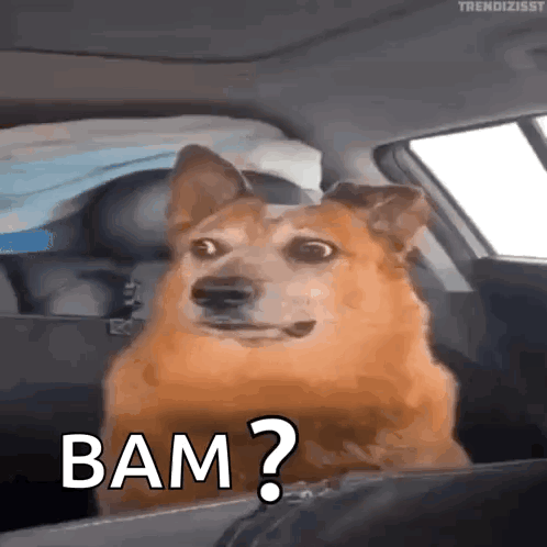 Confused Huh GIF