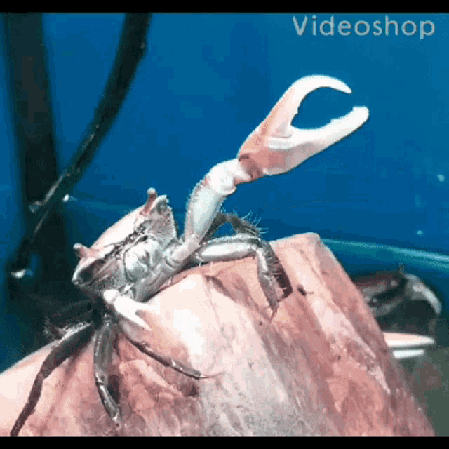 Confused Sign GIF