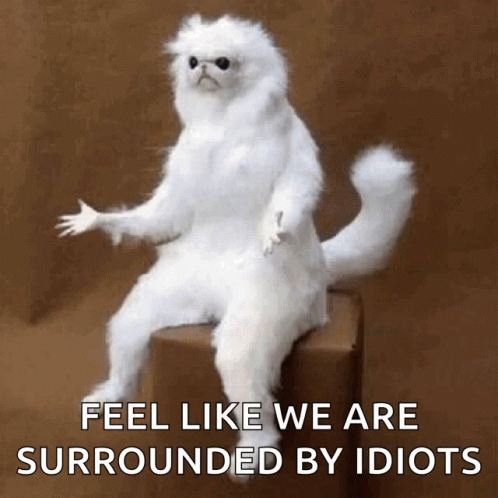 Confused White GIF. This 498 x 498 animated GIF is part of our im surrounded by idiots collection. Related themes include confused, why. Created by…
