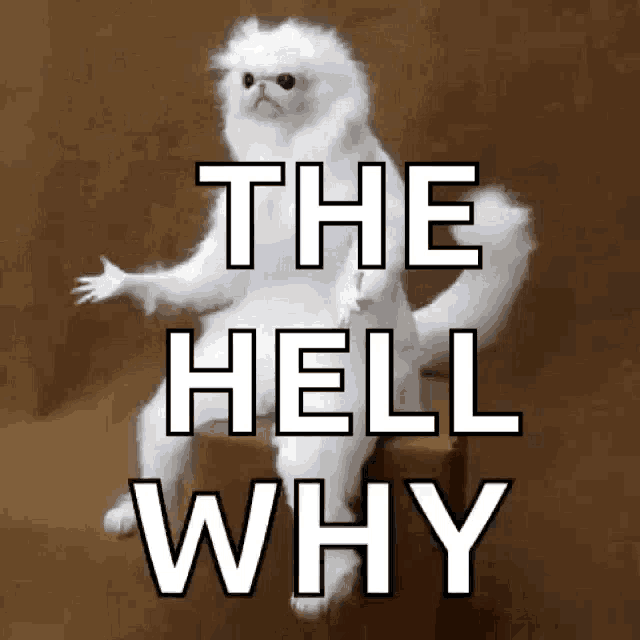 Confused White GIF