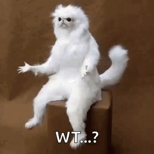 Confused Whitepersanguardian GIF