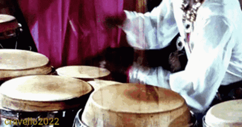 Conga Line Drumming Gif GIF