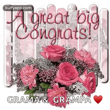 Congrats Actions GIF
