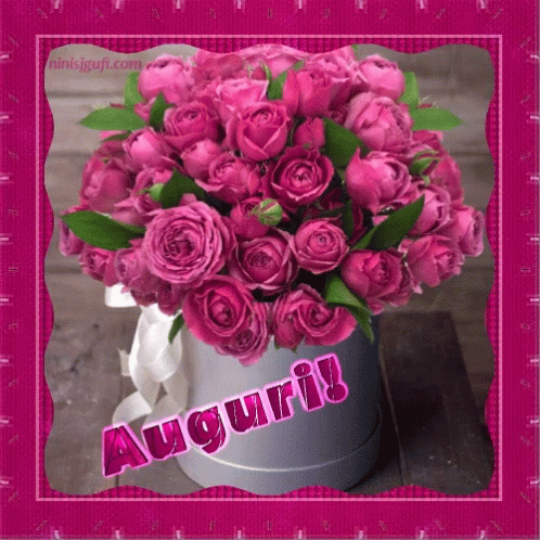 Congrats Auguri GIF