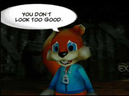 Conker Conker The Squirrel GIF
