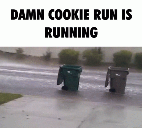 Cookie Run Cookie Run Kingdom GIF. This 498 x 449 animated GIF is part of our taking out the trash collection. Related themes include running. Created by…