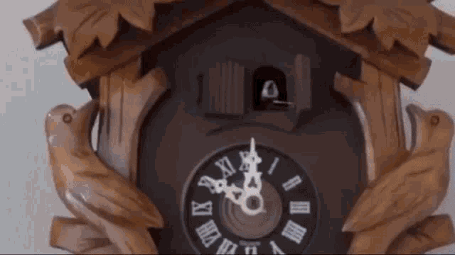 Cookoo Clock Cuckoo Clock GIF