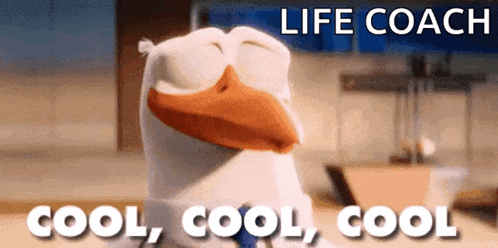 Cool Bird GIF