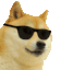 Cool Doge Dogeheadbang Sticker