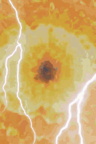 Cool Duck GIF