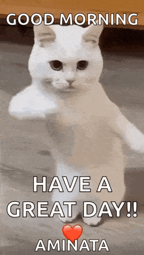 Cool Fun GIF