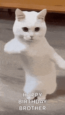 Cool Fun GIF