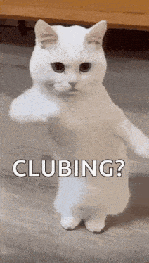 Cool Fun GIF