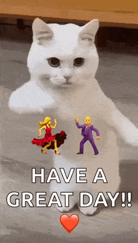 Cool Fun GIF