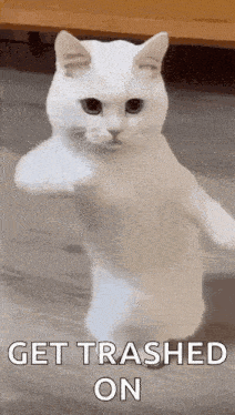 Cool Fun GIF