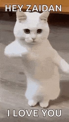 Cool Fun GIF