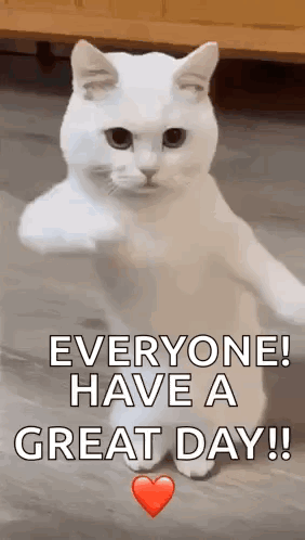 Cool Fun GIF