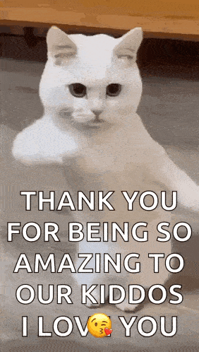 Cool Fun GIF