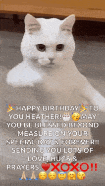 Cool Fun GIF