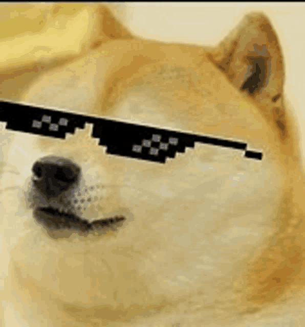 Cool Is Meme